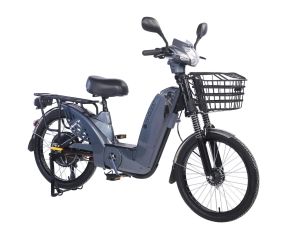 Električni bicikl 22" GLX-A-3 250W 48V/12Ah siva