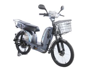 Električni bicikl 22" GLX-A-2 (D/S) 250W 48V/12Ah siva
